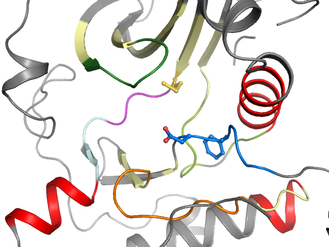 The orthosteric binding pocket