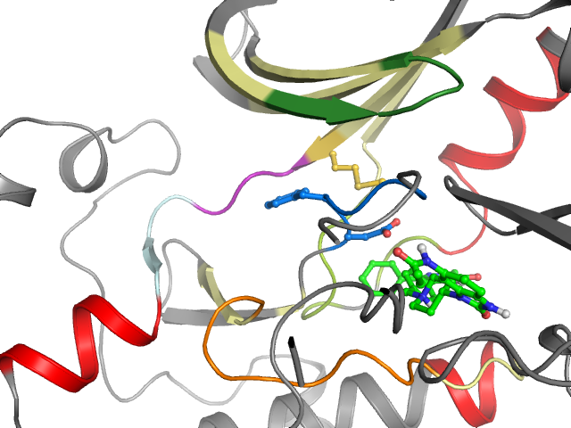 The orthosteric binding pocket