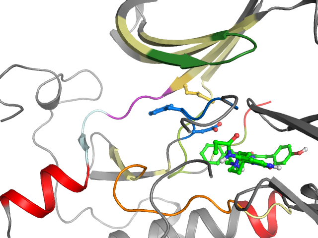 The orthosteric binding pocket