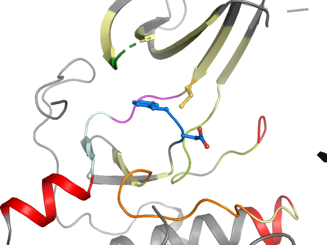 The orthosteric binding pocket