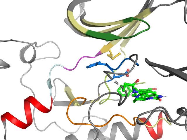 The orthosteric binding pocket