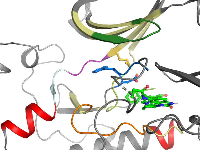 The orthosteric binding pocket