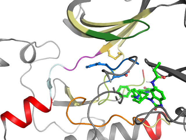 The orthosteric binding pocket