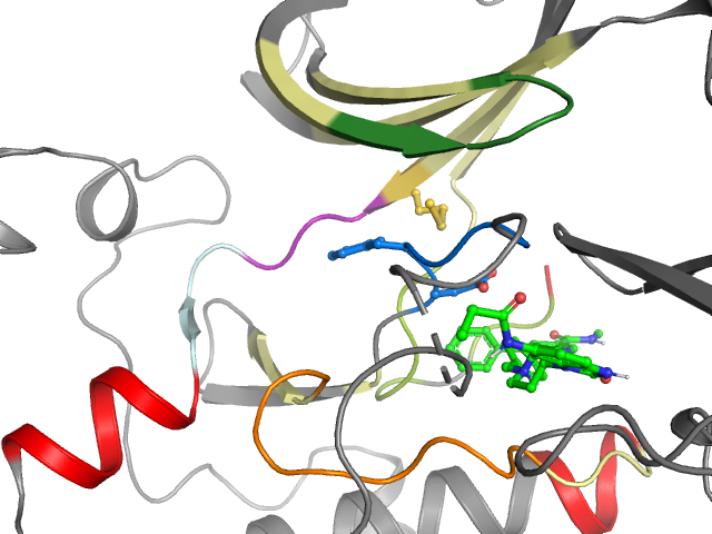 The orthosteric binding pocket