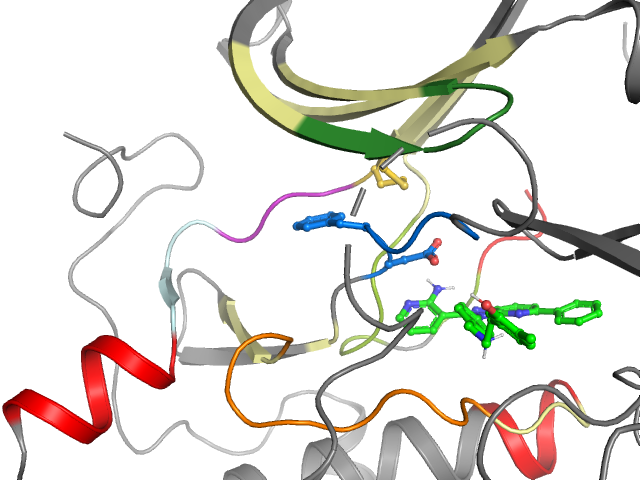 The orthosteric binding pocket