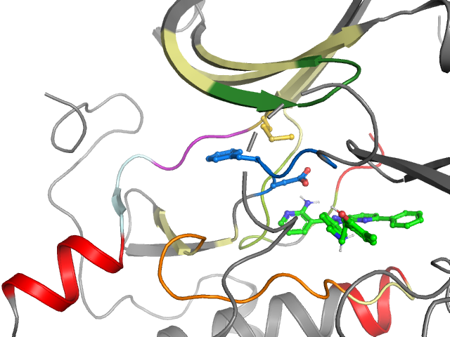 The orthosteric binding pocket