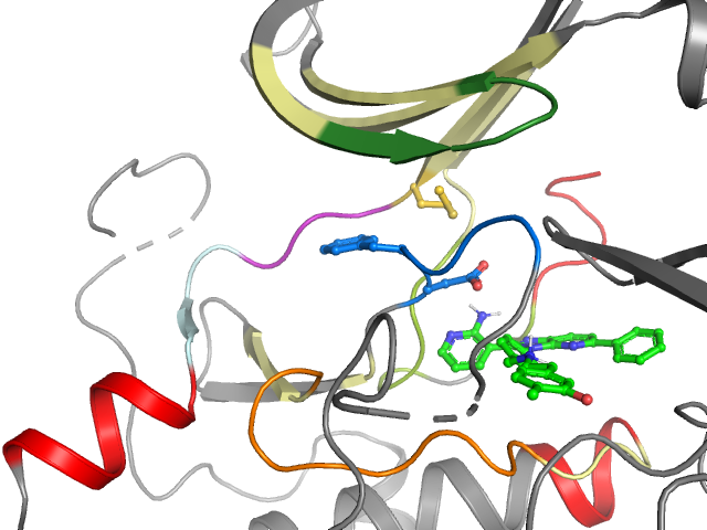 The orthosteric binding pocket