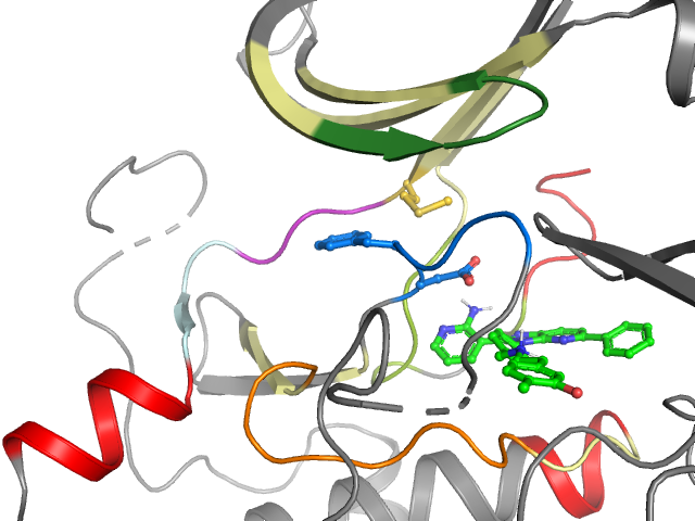 The orthosteric binding pocket
