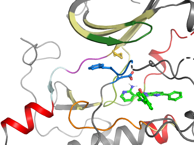 The orthosteric binding pocket