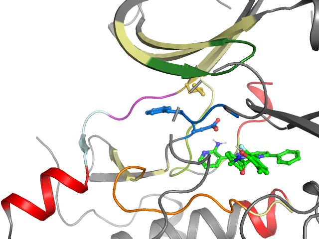 The orthosteric binding pocket