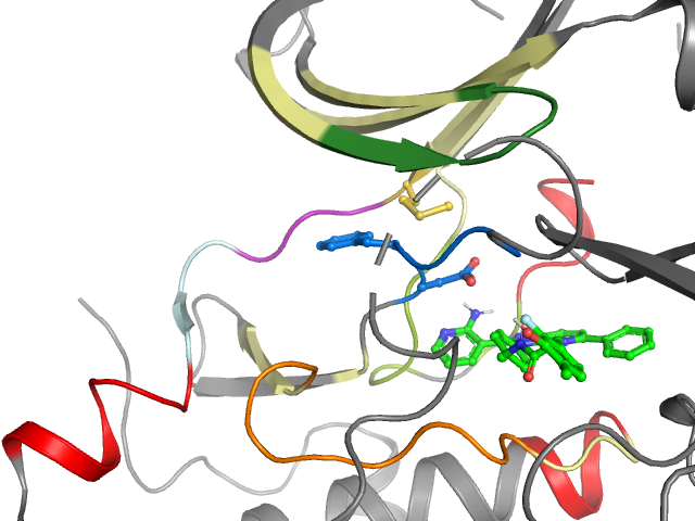 The orthosteric binding pocket