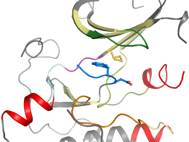 The orthosteric binding pocket