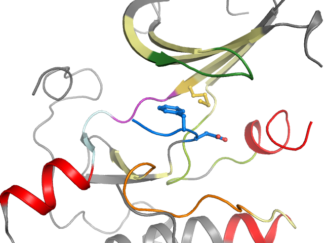 The orthosteric binding pocket