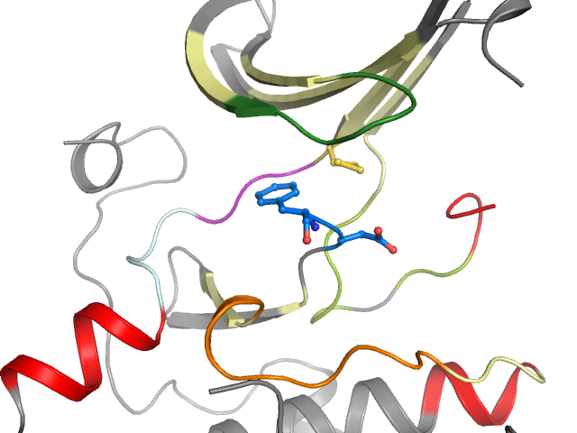 The orthosteric binding pocket