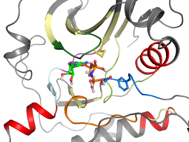 The orthosteric binding pocket