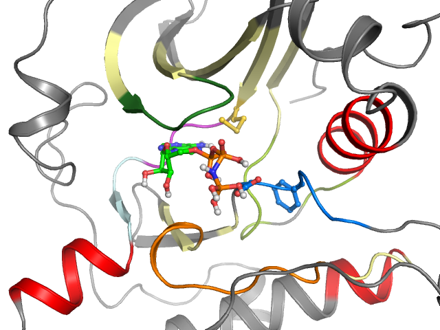 The orthosteric binding pocket