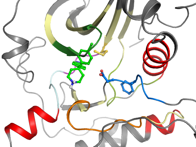 The orthosteric binding pocket