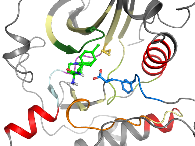 The orthosteric binding pocket