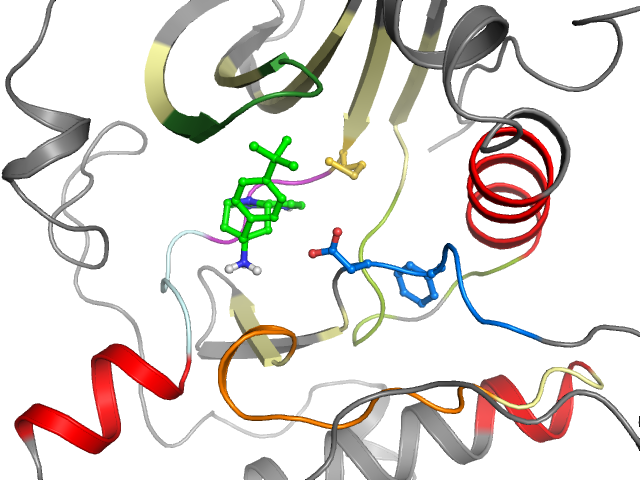 The orthosteric binding pocket