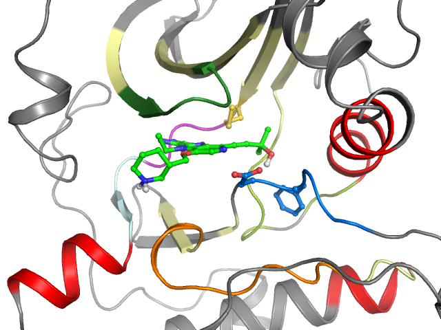 The orthosteric binding pocket
