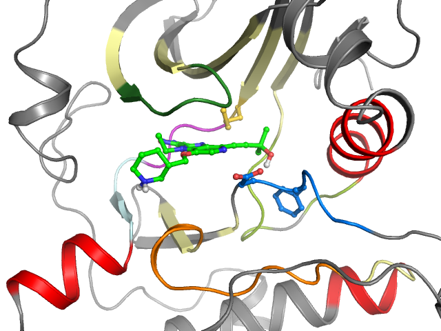 The orthosteric binding pocket