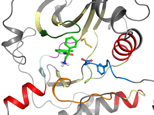 The orthosteric binding pocket
