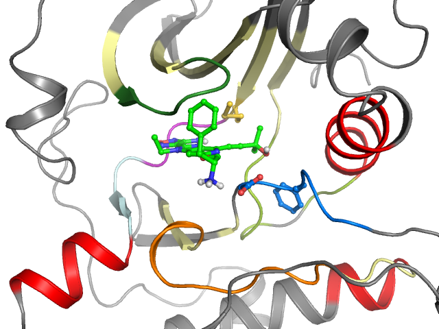 The orthosteric binding pocket