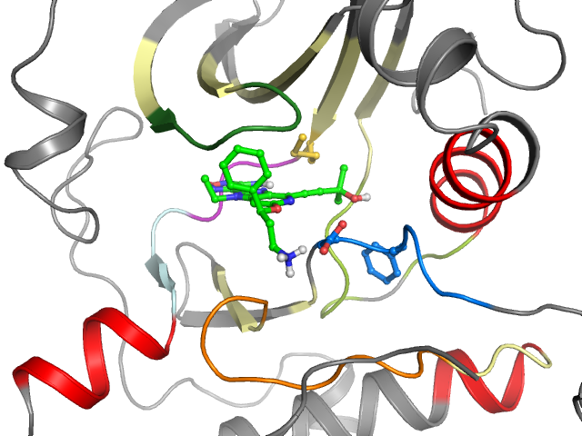 The orthosteric binding pocket