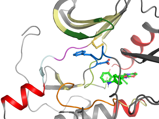 The orthosteric binding pocket