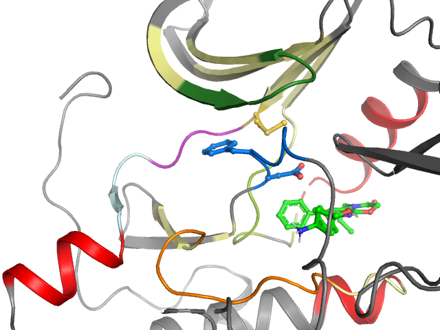 The orthosteric binding pocket
