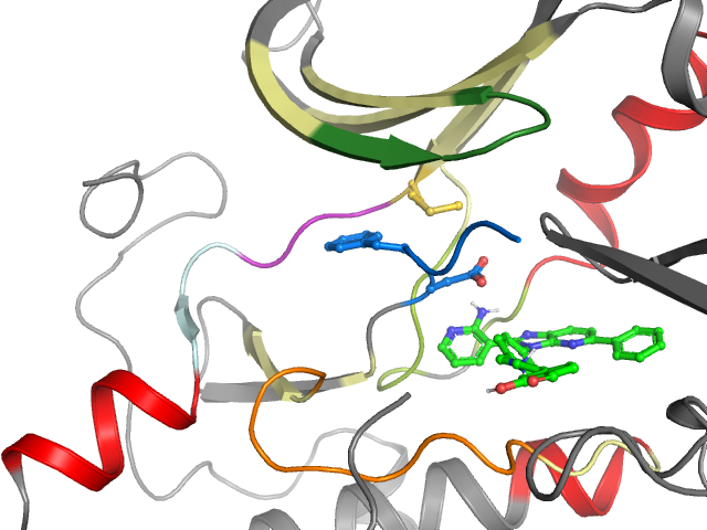 The orthosteric binding pocket