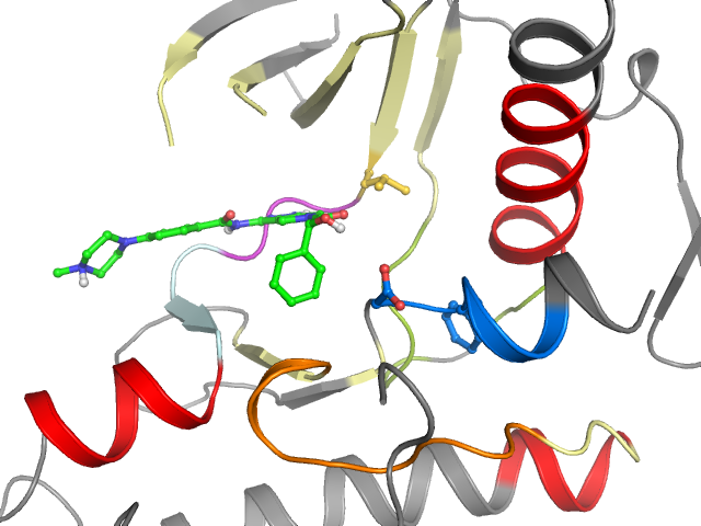 The orthosteric binding pocket
