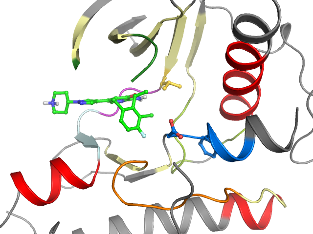 The orthosteric binding pocket