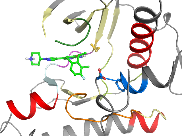 The orthosteric binding pocket