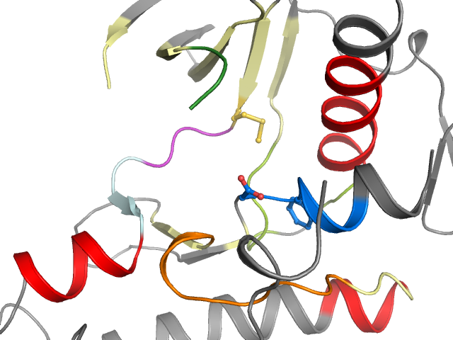 The orthosteric binding pocket