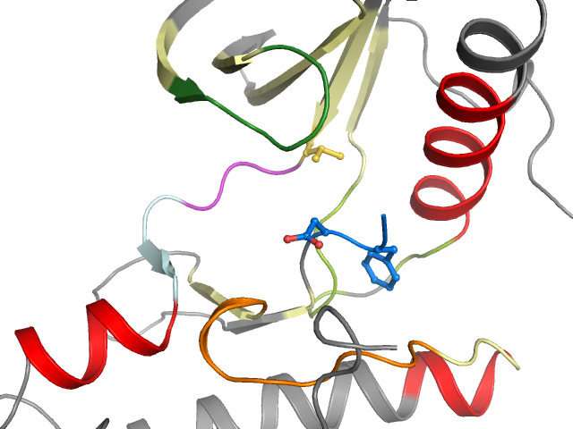 The orthosteric binding pocket