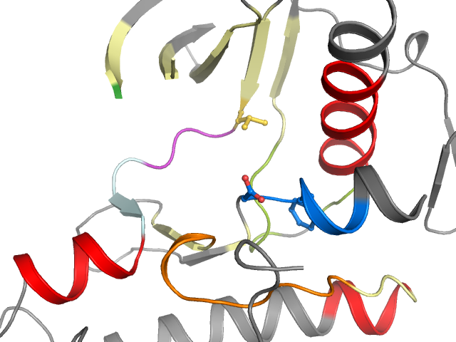 The orthosteric binding pocket