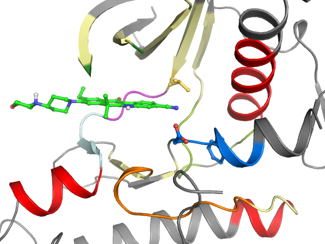 The orthosteric binding pocket