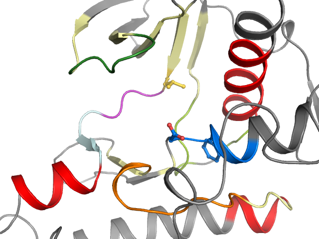 The orthosteric binding pocket
