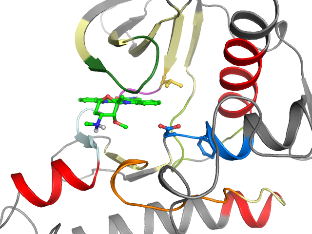 The orthosteric binding pocket