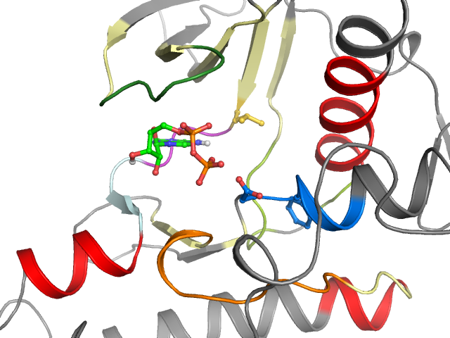 The orthosteric binding pocket