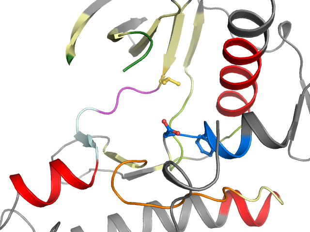 The orthosteric binding pocket