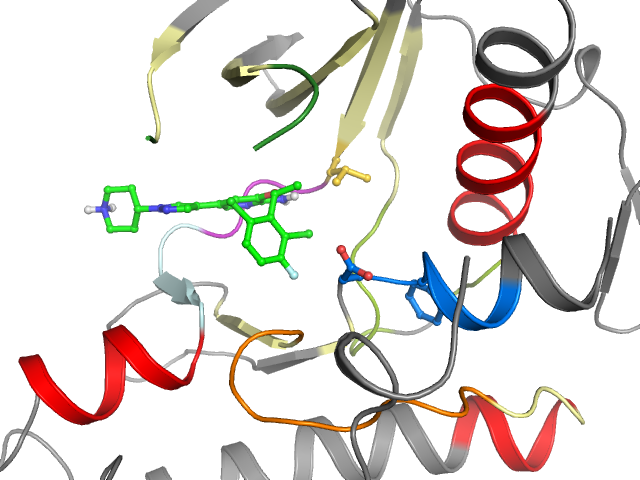 The orthosteric binding pocket