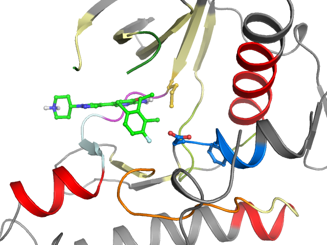 The orthosteric binding pocket