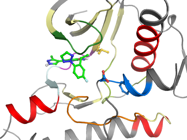 The orthosteric binding pocket