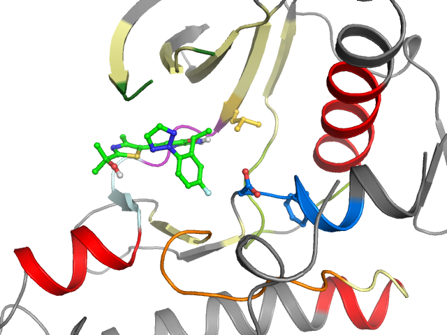 The orthosteric binding pocket