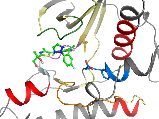The orthosteric binding pocket
