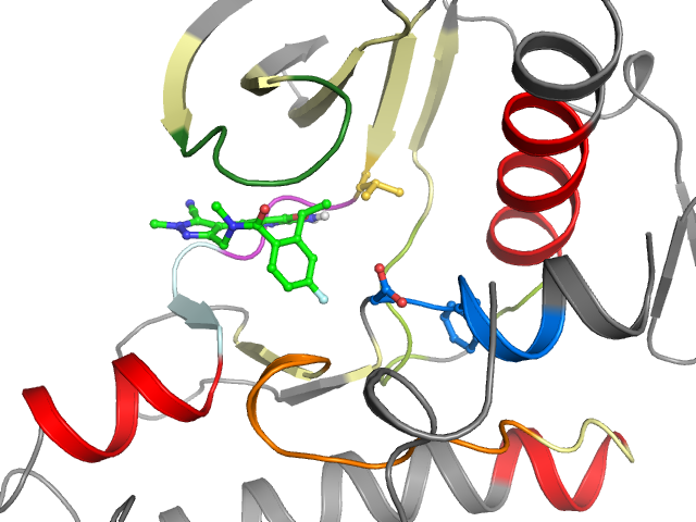The orthosteric binding pocket