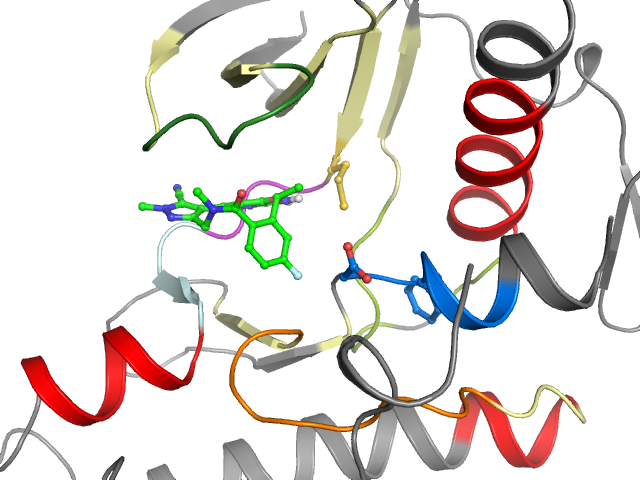 The orthosteric binding pocket