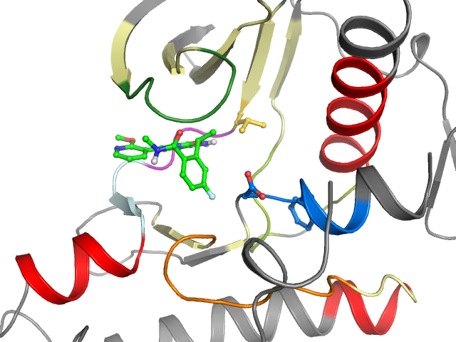 The orthosteric binding pocket